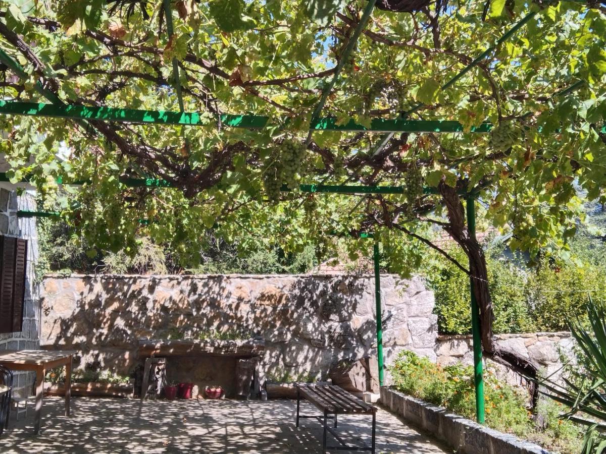 La Parra De Pepa Guest House Cercedilla Ngoại thất bức ảnh