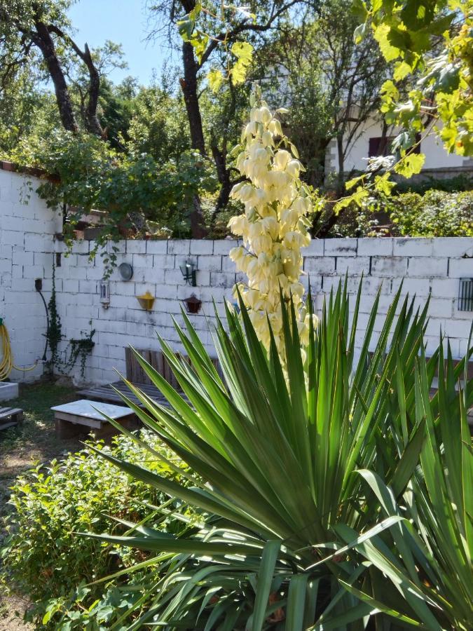La Parra De Pepa Guest House Cercedilla Ngoại thất bức ảnh
