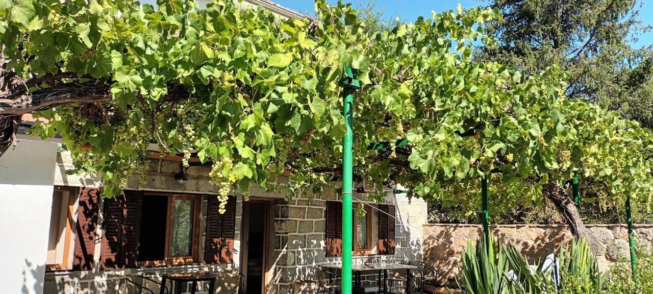 La Parra De Pepa Guest House Cercedilla Ngoại thất bức ảnh